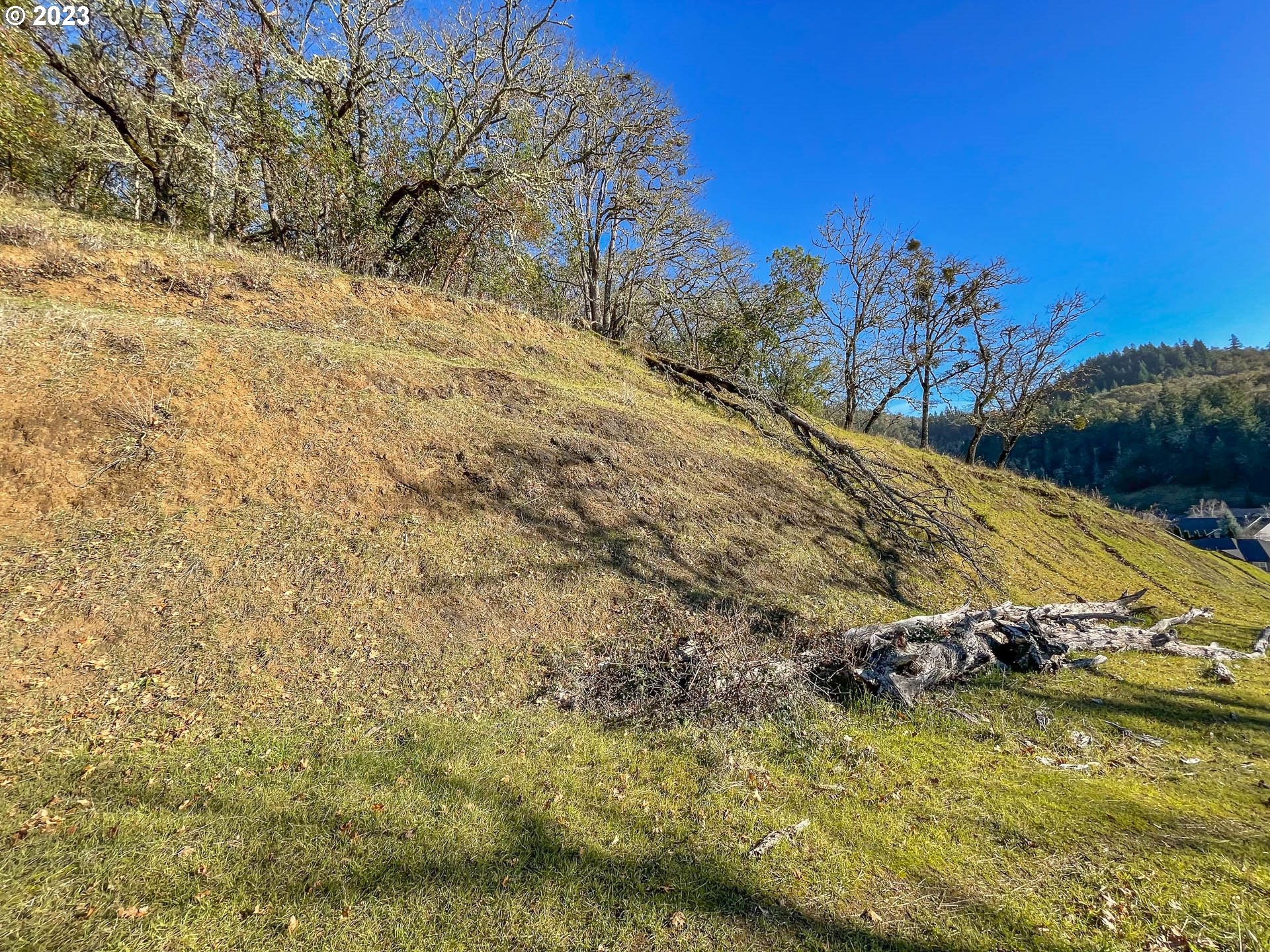 611 North View Drive Winchester, OR 97495 - Photo 4 of 10