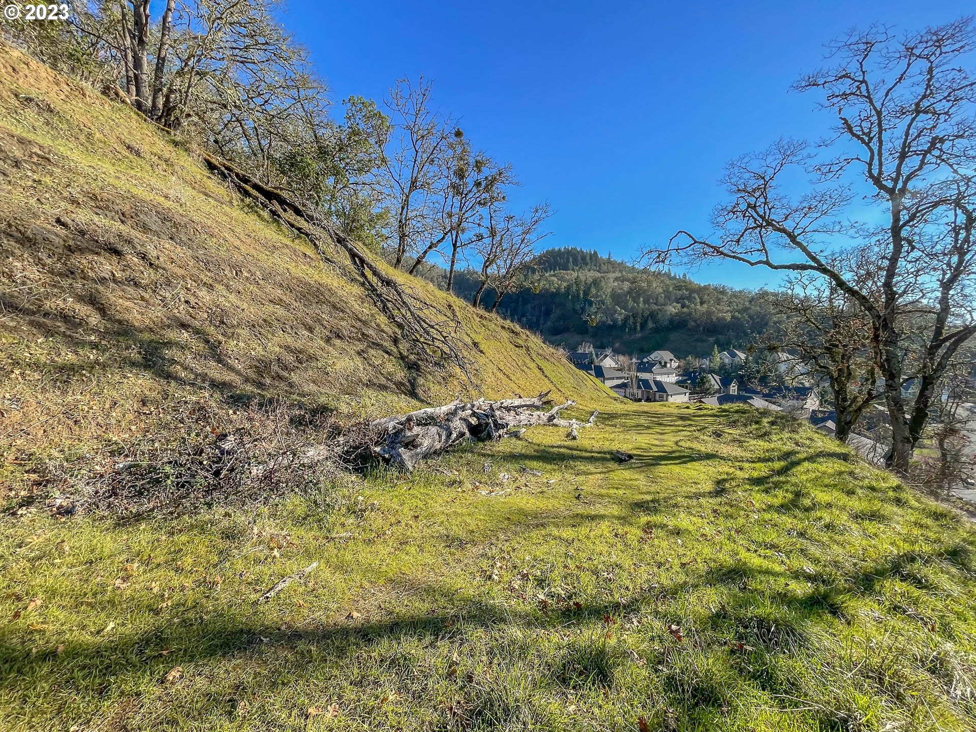 611 North View Drive Winchester, OR 97495 - Photo 5 of 10