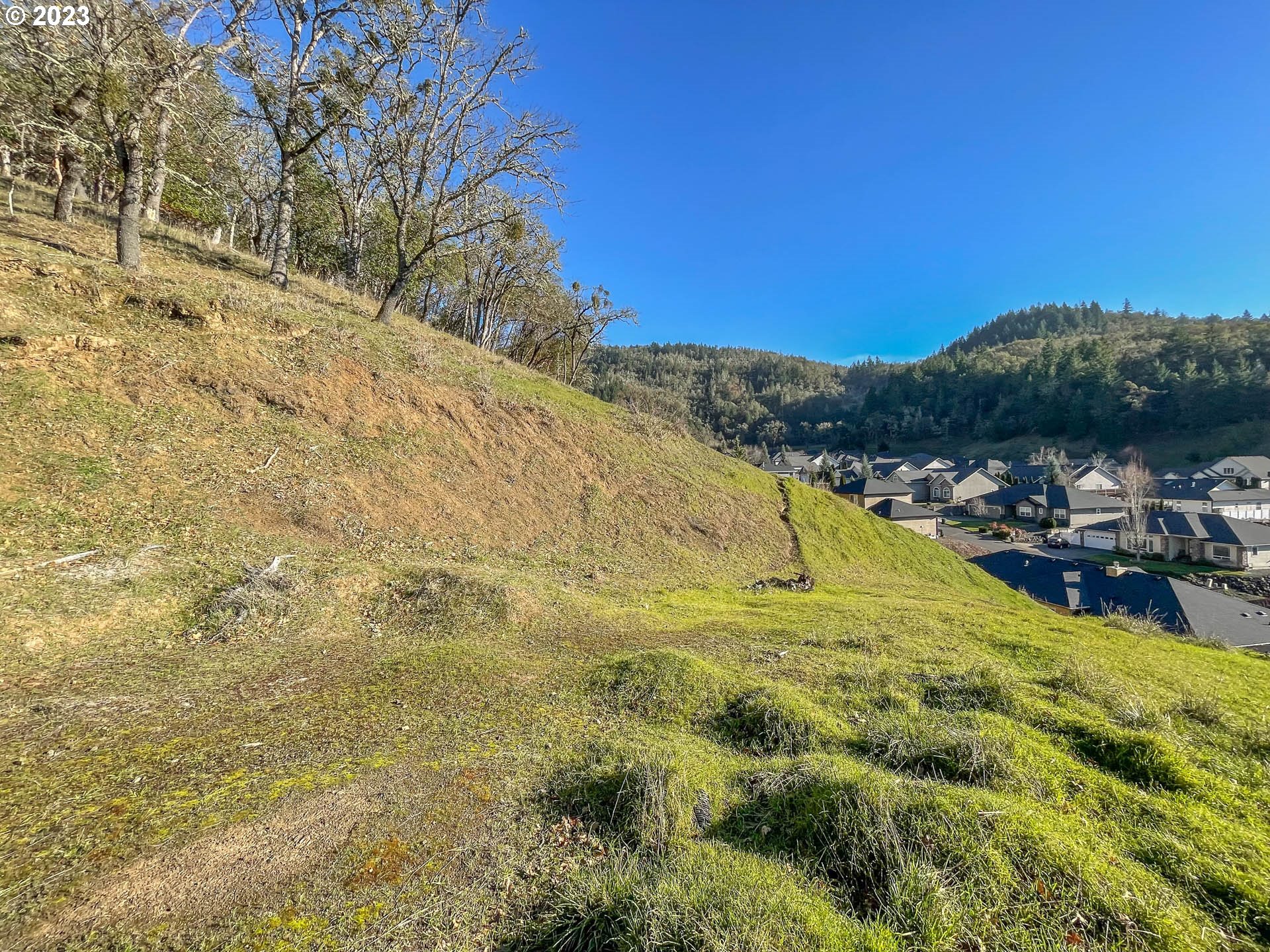 611 North View Drive Winchester, OR 97495 - Photo 6 of 10