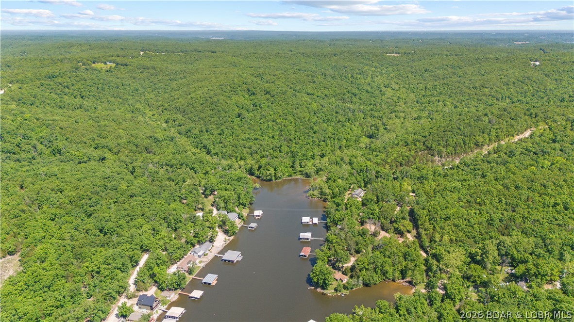 5-acres Pirates Pirates Cove Road Camdenton, MO 65020 - Photo 12 of 30