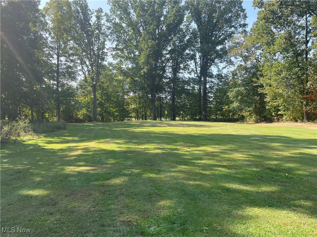 9889 New Road North Jackson, OH 44451 - Photo 22 of 30 View of yard