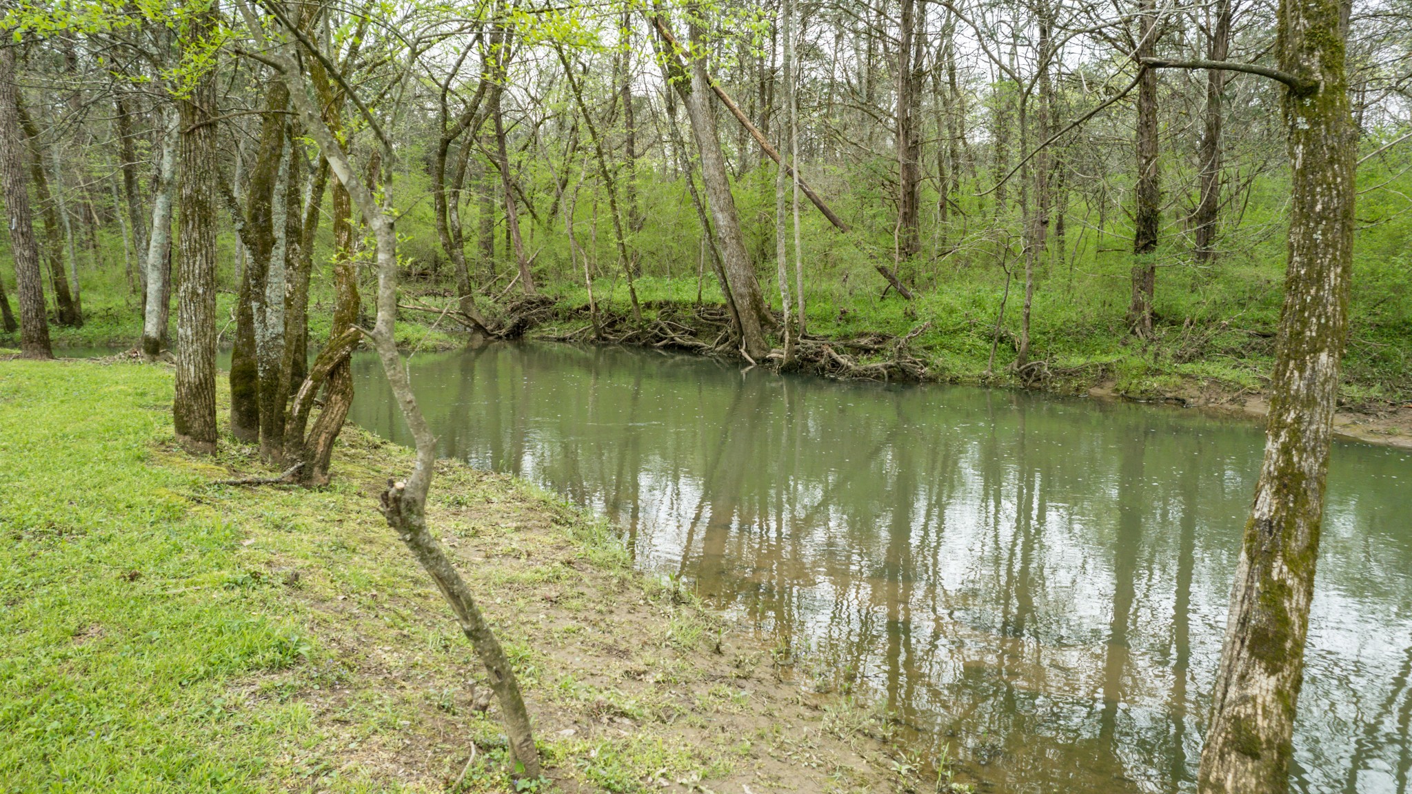 1805 North Lovvorn Road Christiana, TN 37037 - Photo 53 of 54