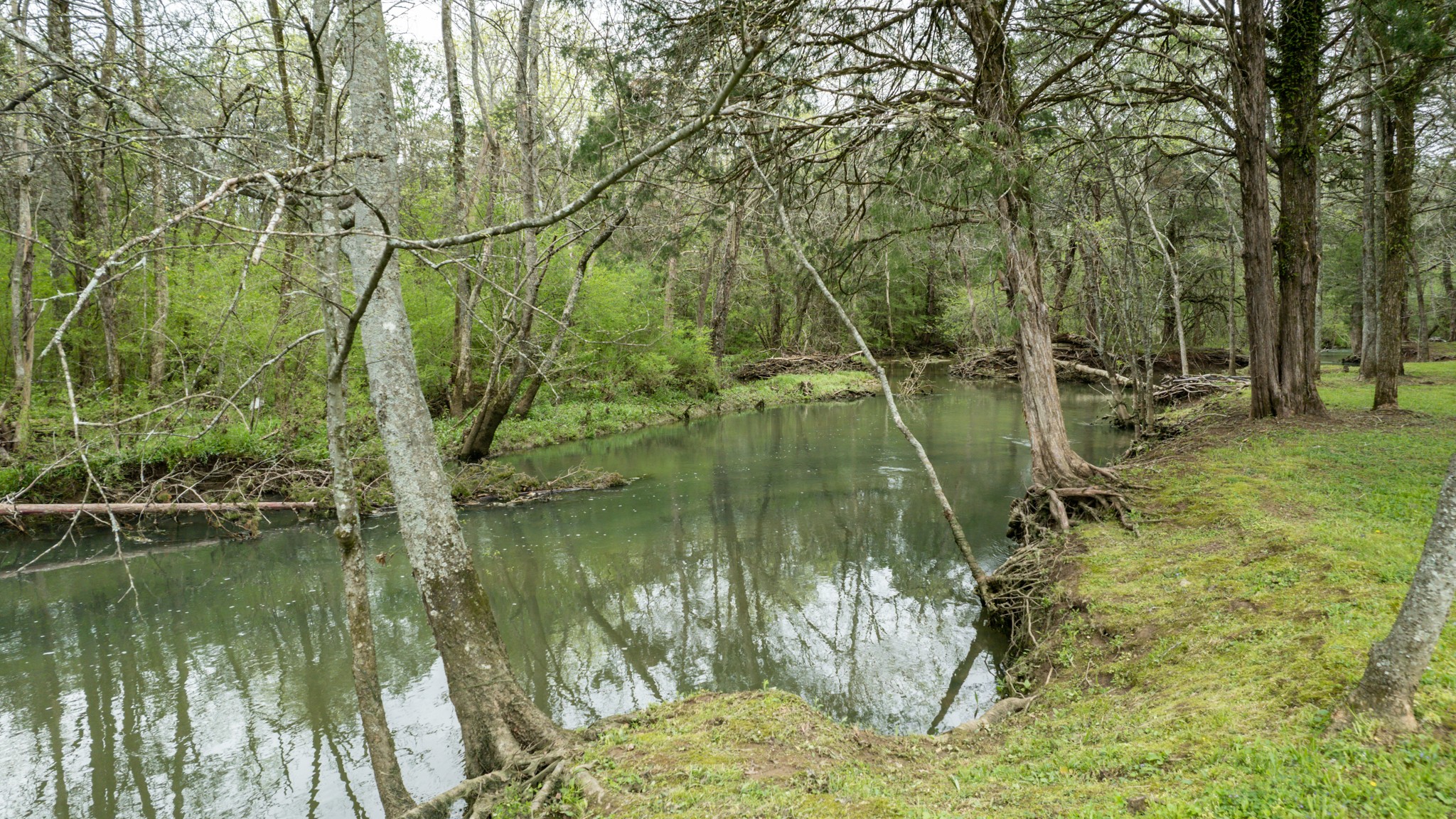 1805 North Lovvorn Road Christiana, TN 37037 - Photo 54 of 54 a backyard of a house with lots of green space and lake view