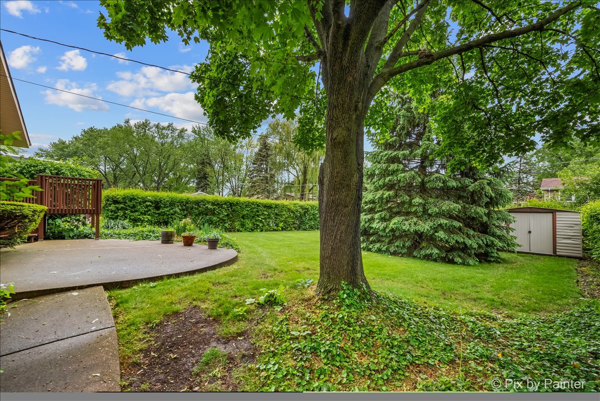 2302 Birch Lane Rolling Meadows, IL 60008 - Photo 26 of 30 a view of a yard with large trees