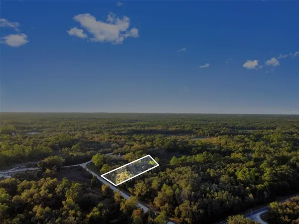 an aerial view of residential house with outdoor space