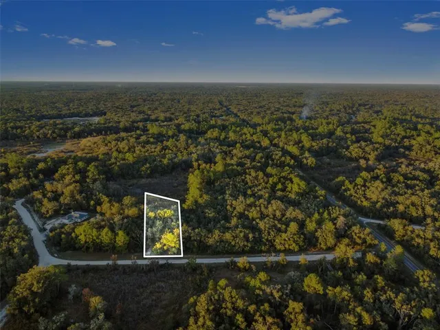a view of a yard with a tree