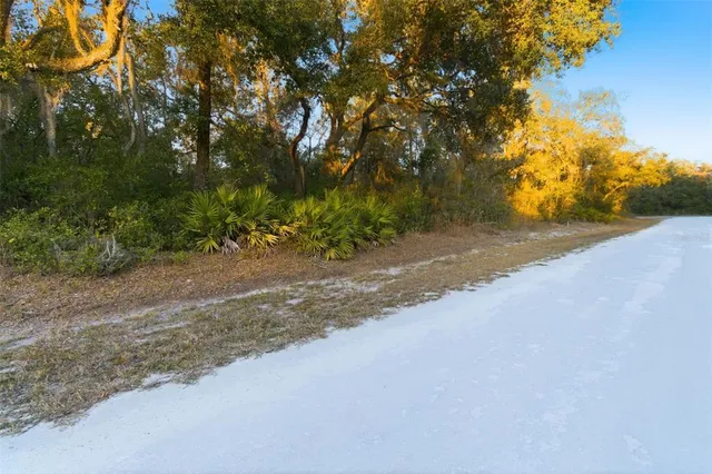 a view of a yard with a tree