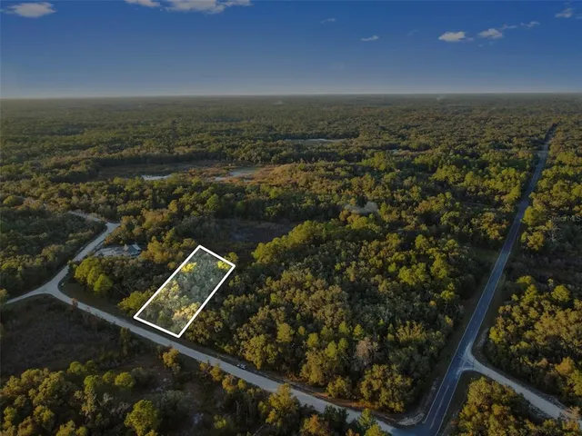 $25,000 | Riverstone Street, Webster, FL 33597