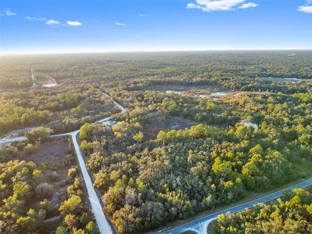 $25,000 | Riverstone Street, Webster, FL 33597