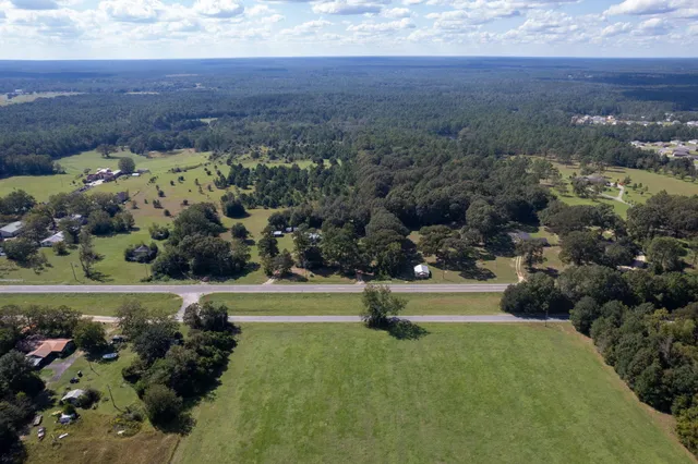an aerial view of swimming pool with a garden