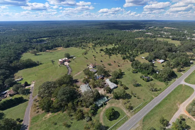 a view of a forest with a city view