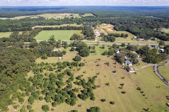 a view of a city with lush green forest