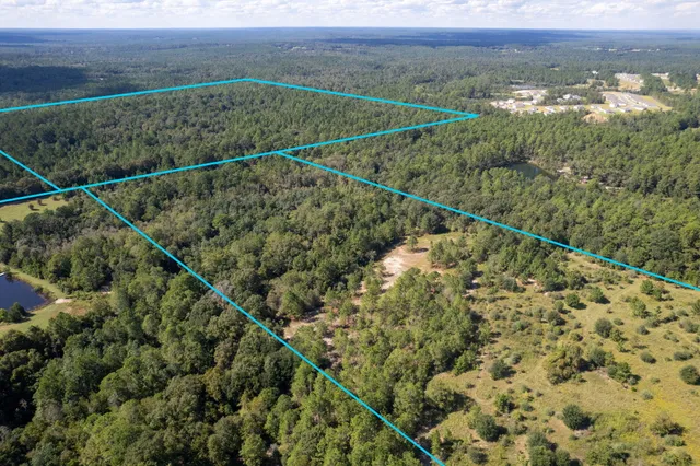 a view of a city with lush green forest