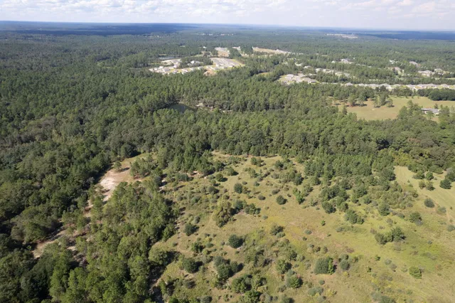 a view of a city from a lake view