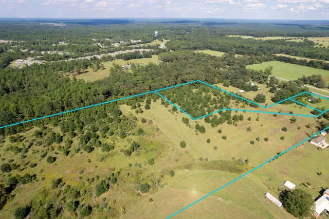 a view of a city with lush green forest