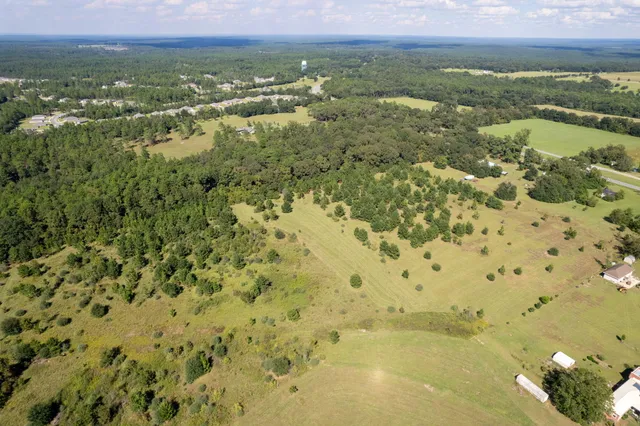 a view of a city with lush green forest