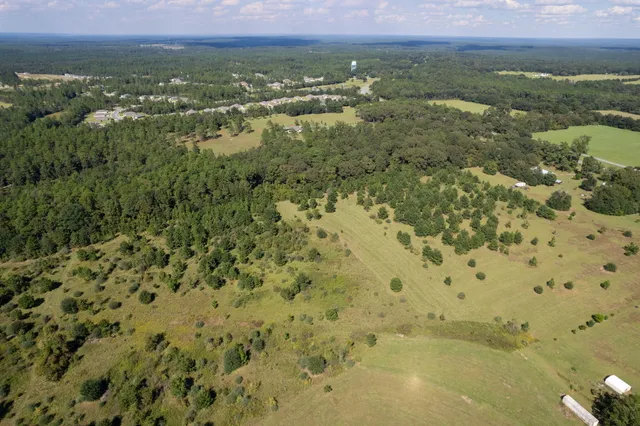 a view of a big yard with lots of green space
