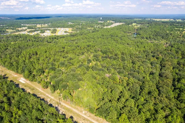 a view of a yard with an outdoor space