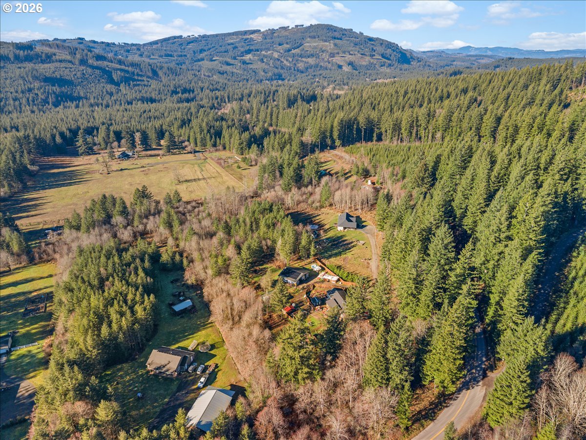 23728 Northeast Dole Valley Road Yacolt, WA 98675 - Photo 36 of 46