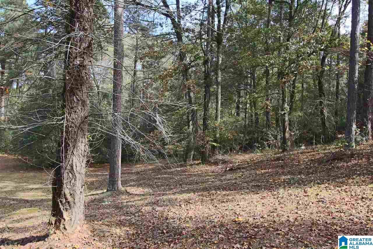 2990 Lindsey Loop Road Bessemer, AL 35022 - Photo 40 of 40