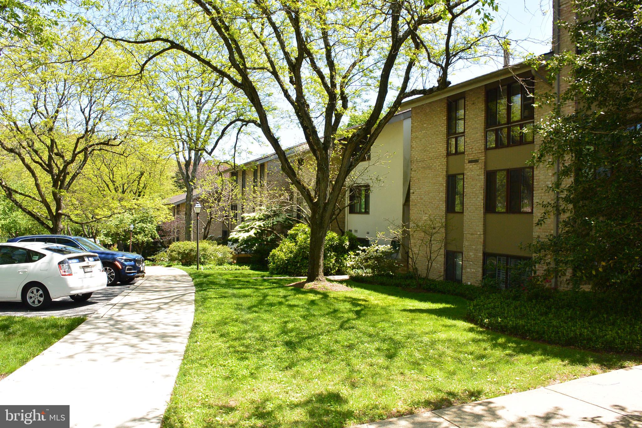 103 Cross Keys Road, Unit R103D2 Baltimore, MD 21210 - Photo 33 of 40