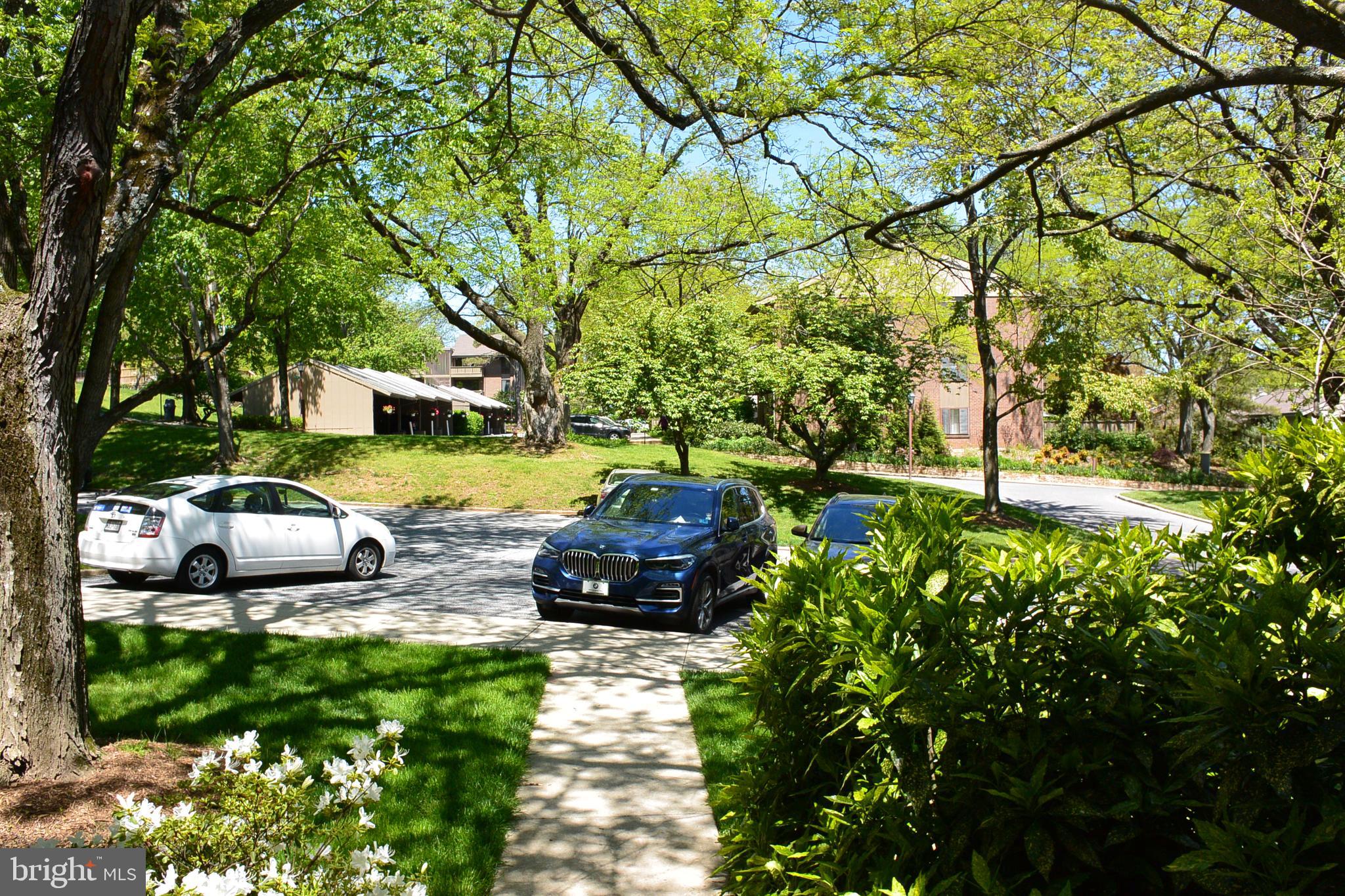 103 Cross Keys Road, Unit R103D2 Baltimore, MD 21210 - Photo 34 of 40