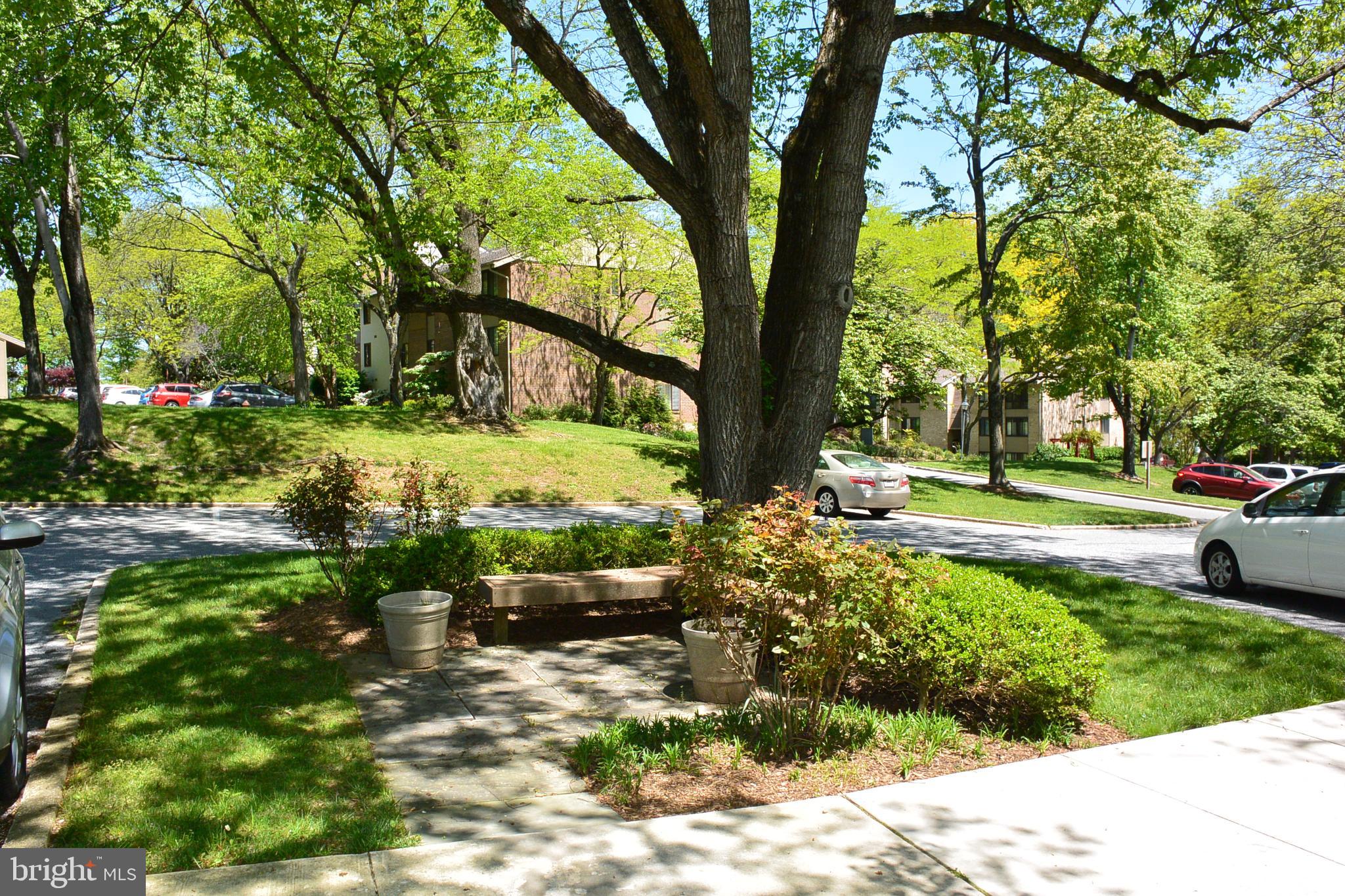 103 Cross Keys Road, Unit R103D2 Baltimore, MD 21210 - Photo 35 of 40