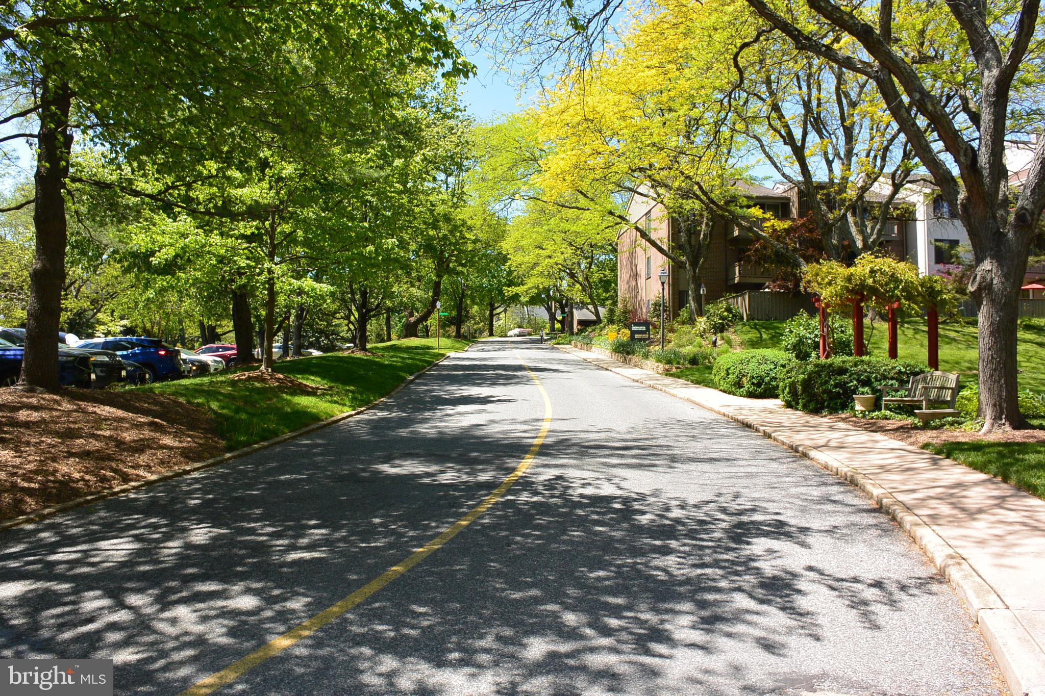 103 Cross Keys Road, Unit R103D2 Baltimore, MD 21210 - Photo 36 of 40