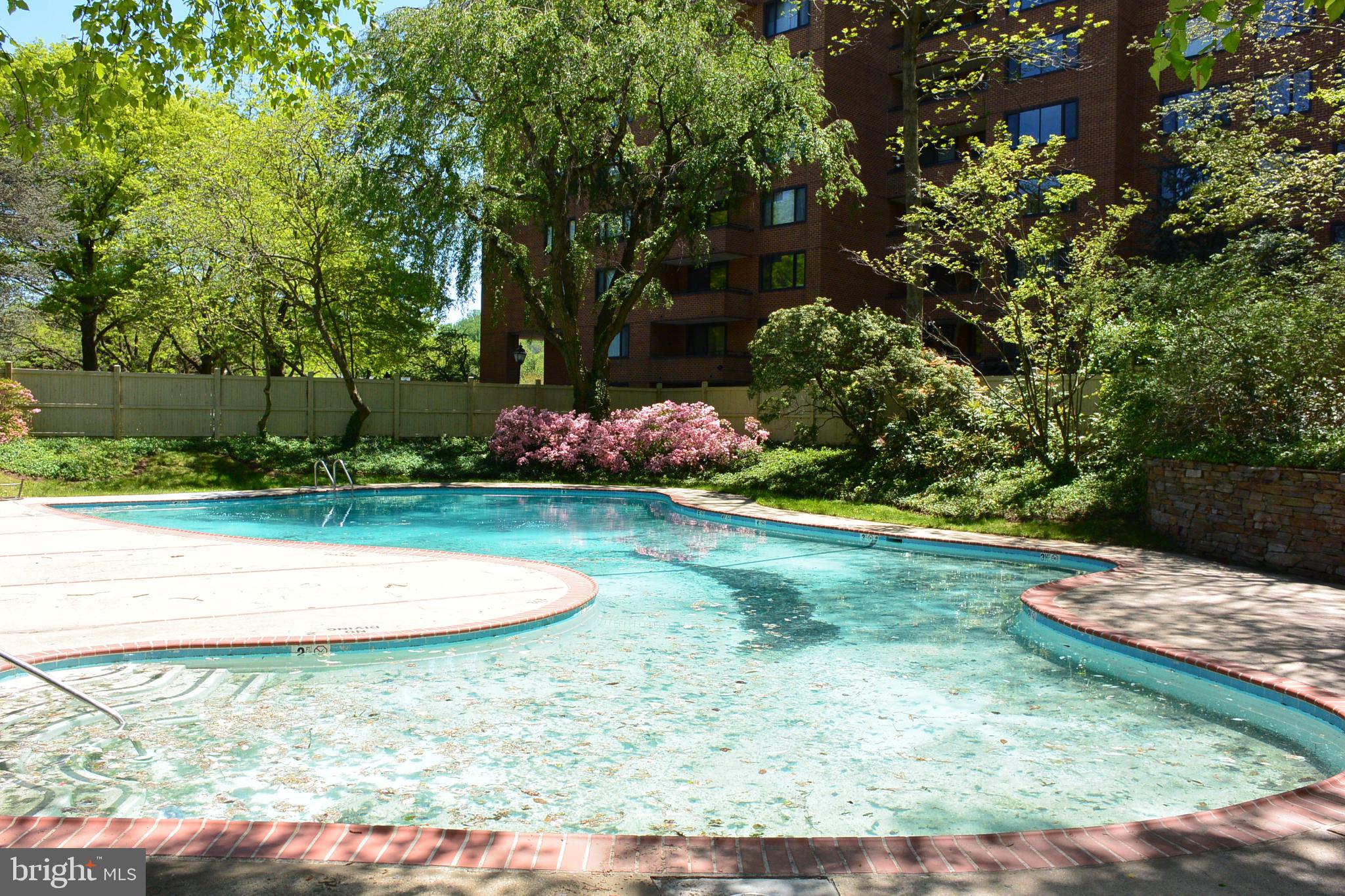 103 Cross Keys Road, Unit R103D2 Baltimore, MD 21210 - Photo 39 of 40