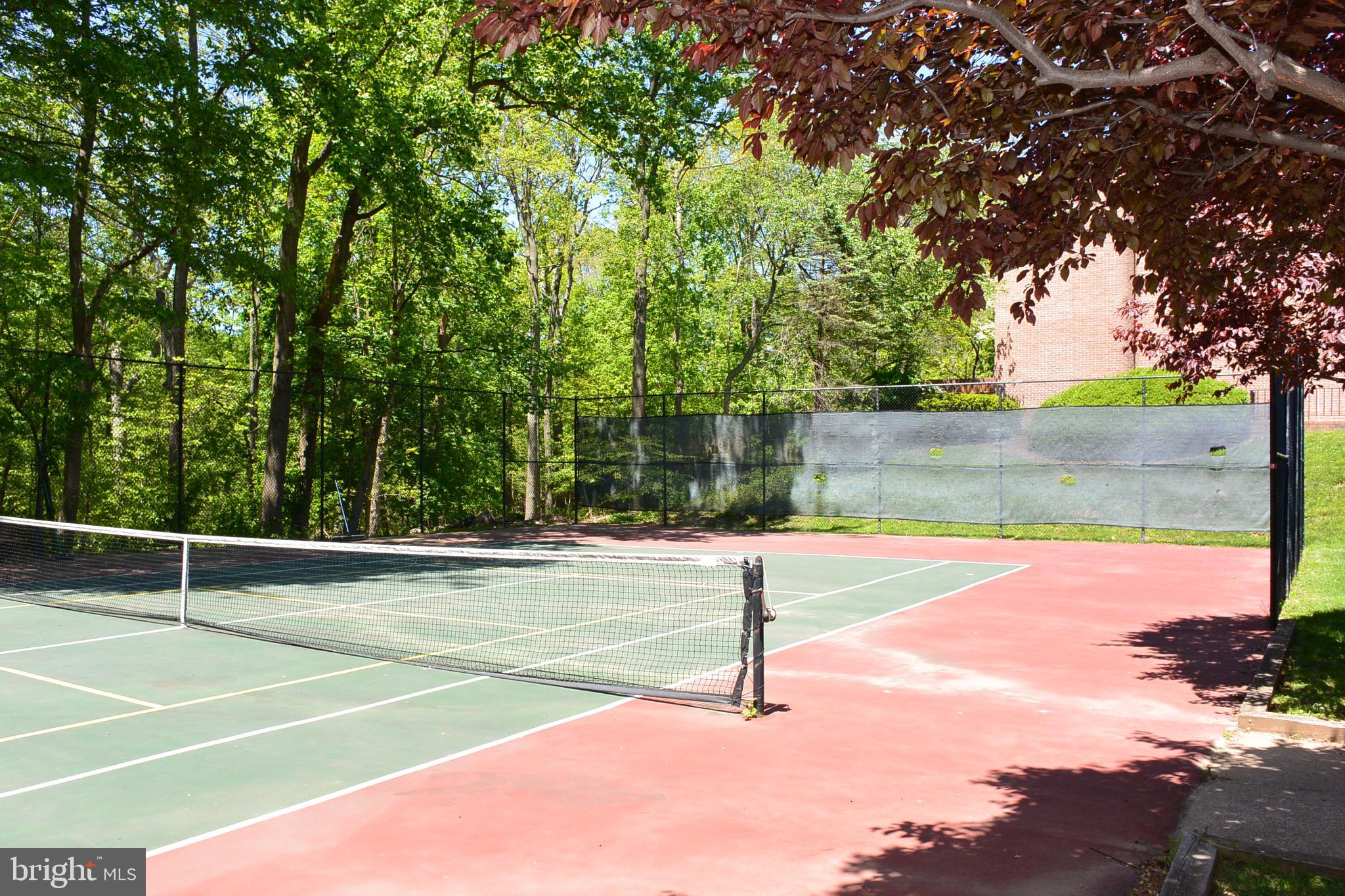 103 Cross Keys Road, Unit R103D2 Baltimore, MD 21210 - Photo 40 of 40