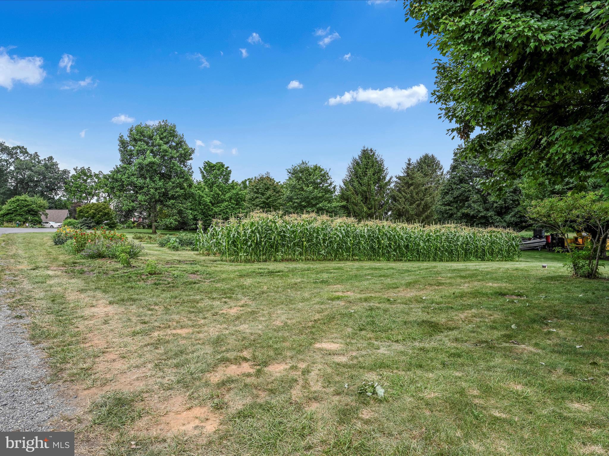 13 Timothy Drive Mertztown, PA 19539 - Photo 36 of 39 Yard