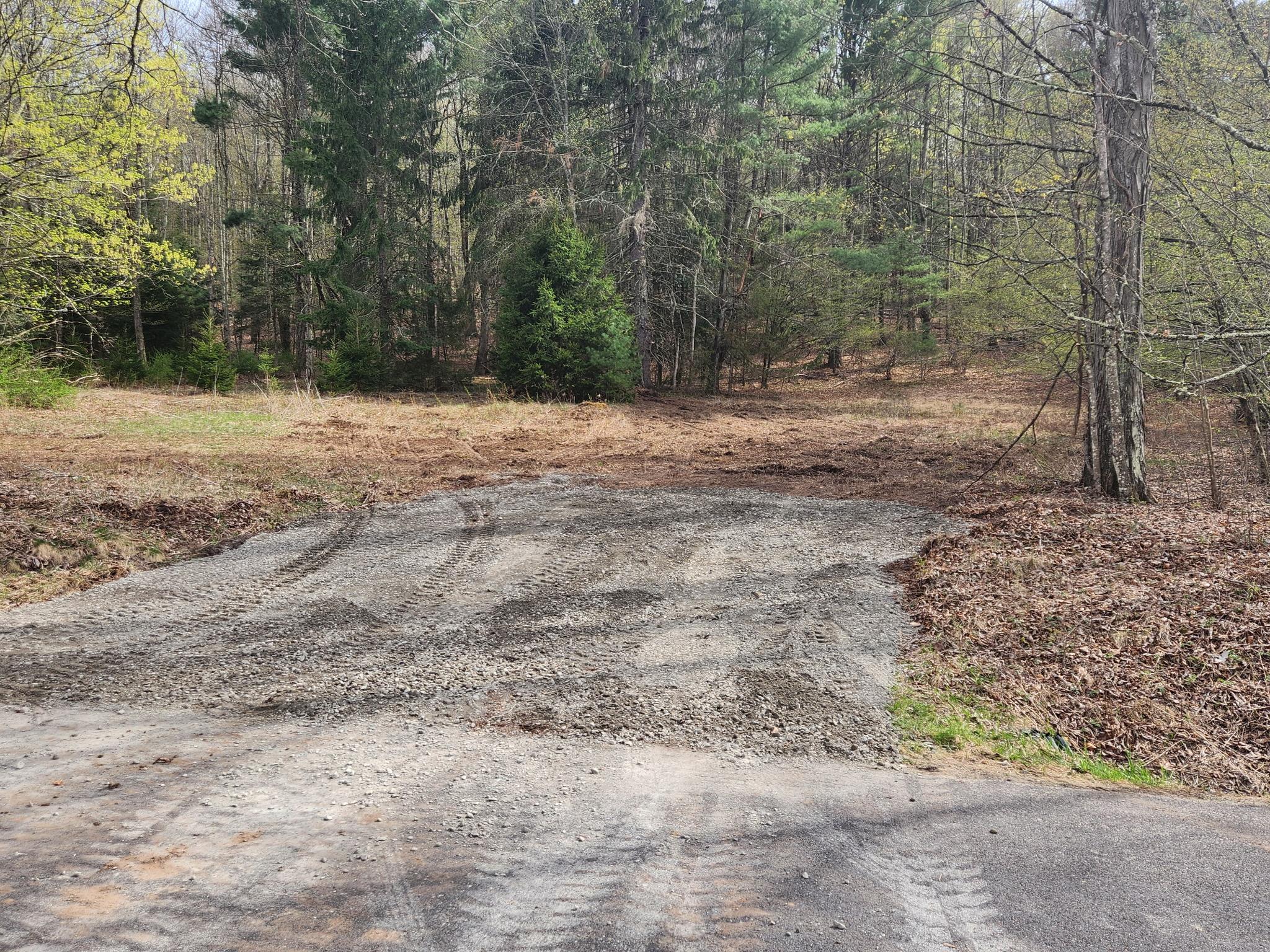 44 Oak Ridge Road Greenfield Park, NY 12435 - Photo 1 of 1 View of road with a view of trees