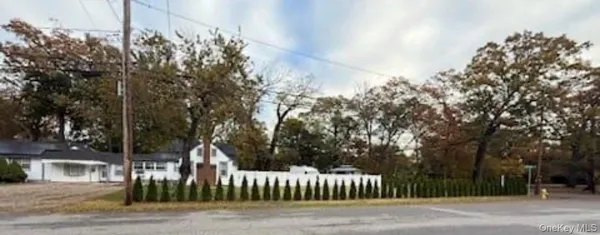 a view of street along with trees