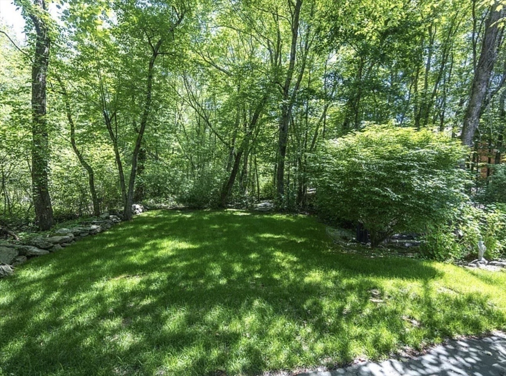 205 Grove Street, Unit 302 Wellesley, MA 02482 - Photo 3 of 5