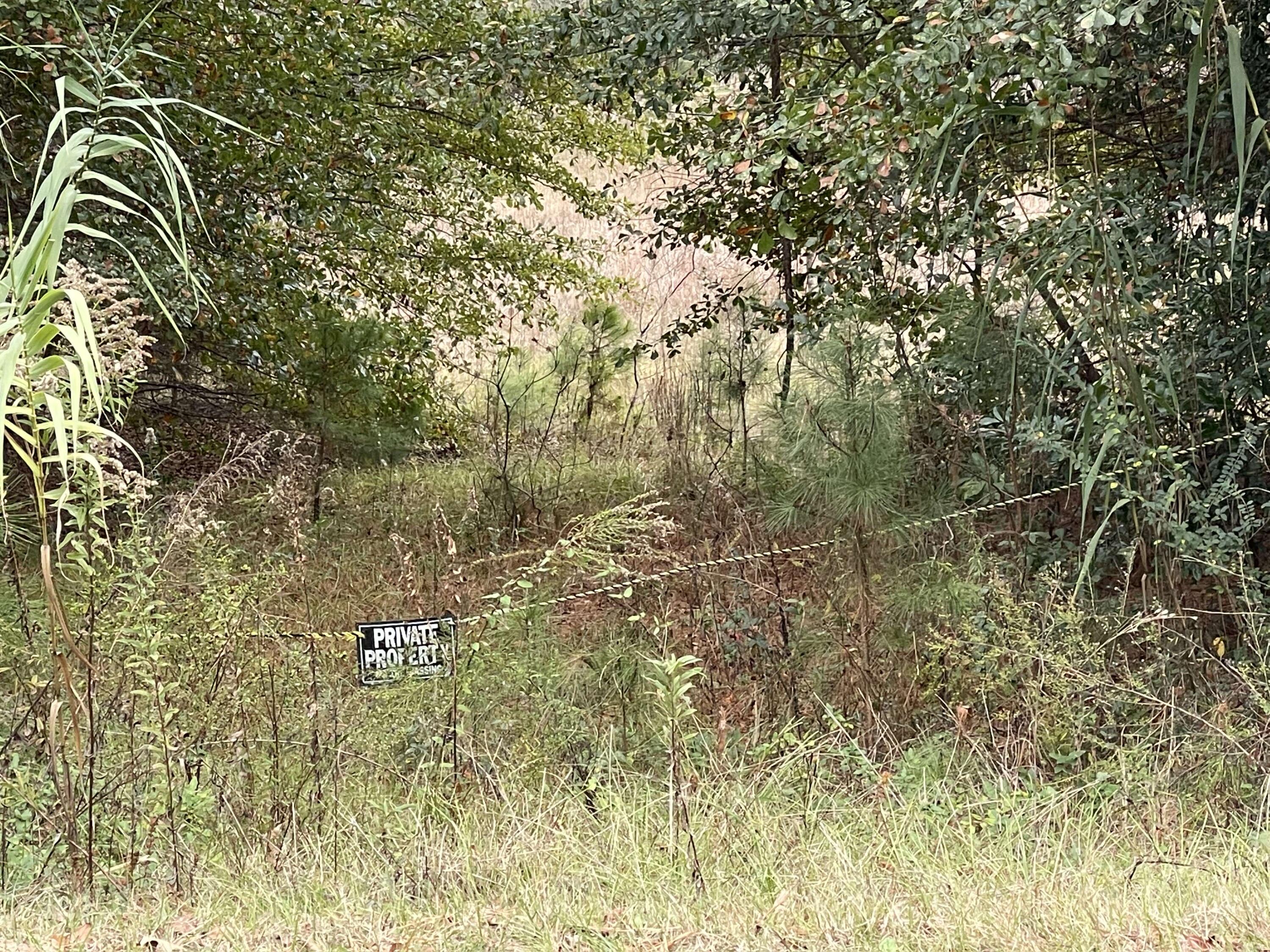 0 Mt Calvary Road Trenton, SC 29847 - Photo 3 of 3