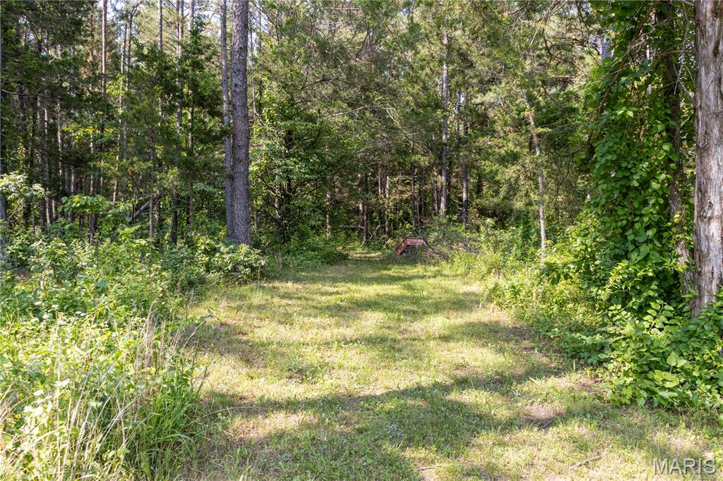 19777 Harry Road Licking, MO 65542 - Photo 35 of 52