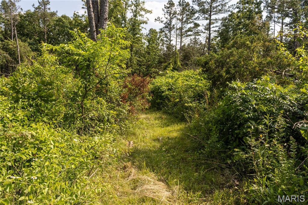 19777 Harry Road Licking, MO 65542 - Photo 36 of 52