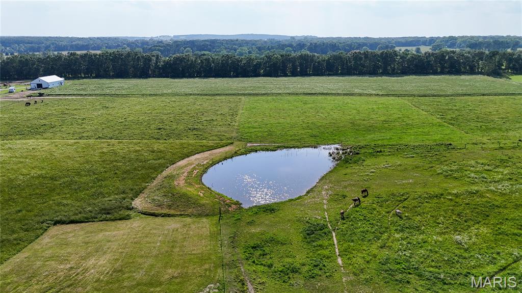 19777 Harry Road Licking, MO 65542 - Photo 40 of 52