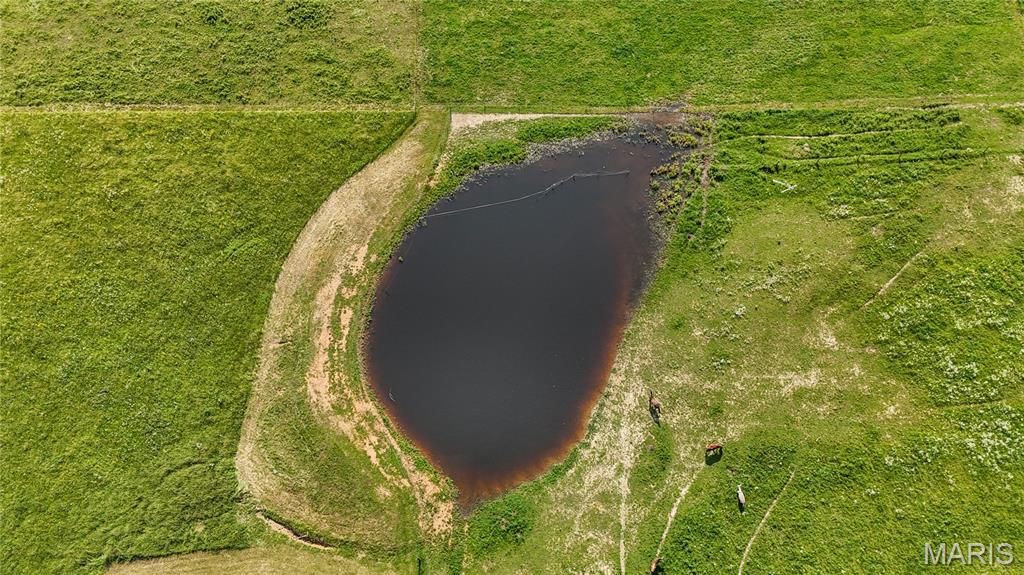 19777 Harry Road Licking, MO 65542 - Photo 41 of 52