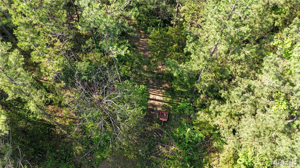 19777 Harry Road Licking, MO 65542 - Photo 43 of 52