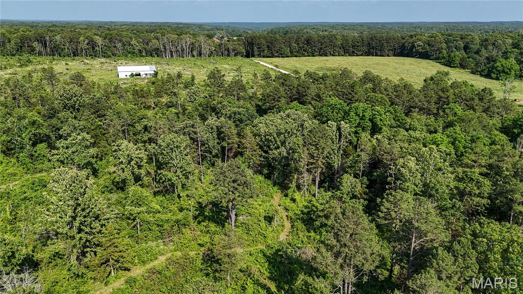 19777 Harry Road Licking, MO 65542 - Photo 46 of 52