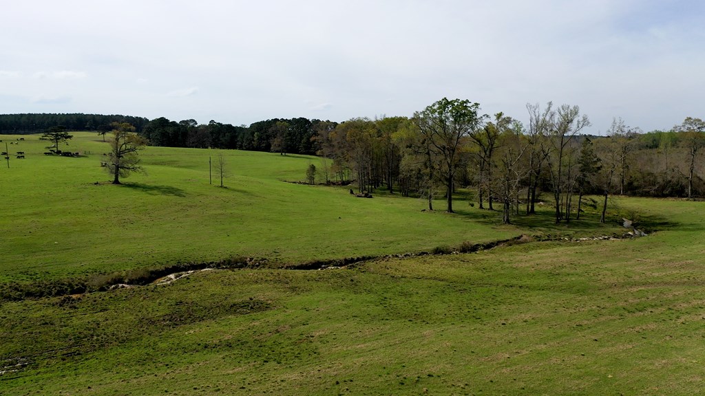 369 Bud Gary Road Clayton, AL 36016 - Photo 14 of 42