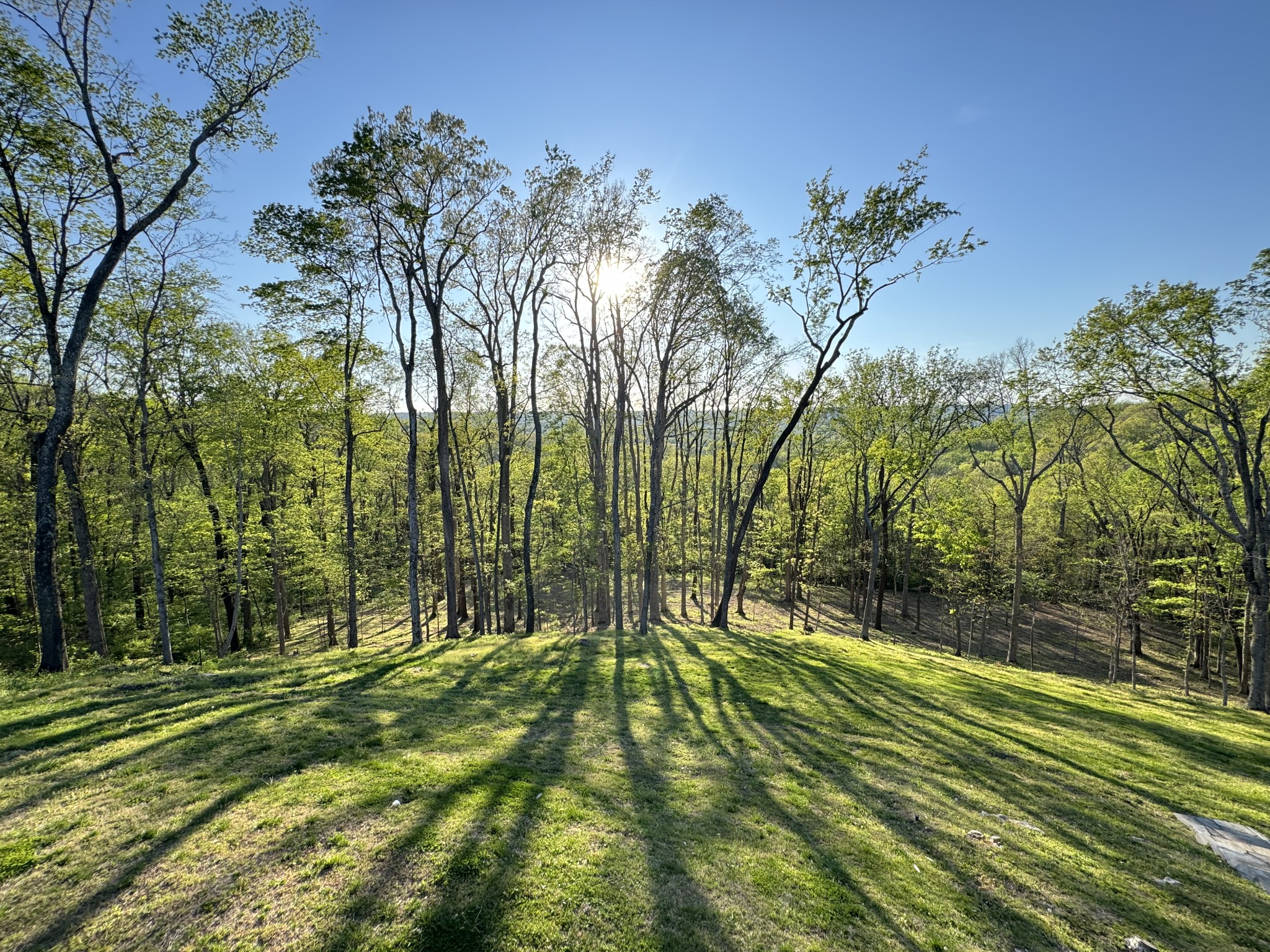 1119 Harpeth Ridge Drive Franklin, TN 37069 - Photo 30 of 35