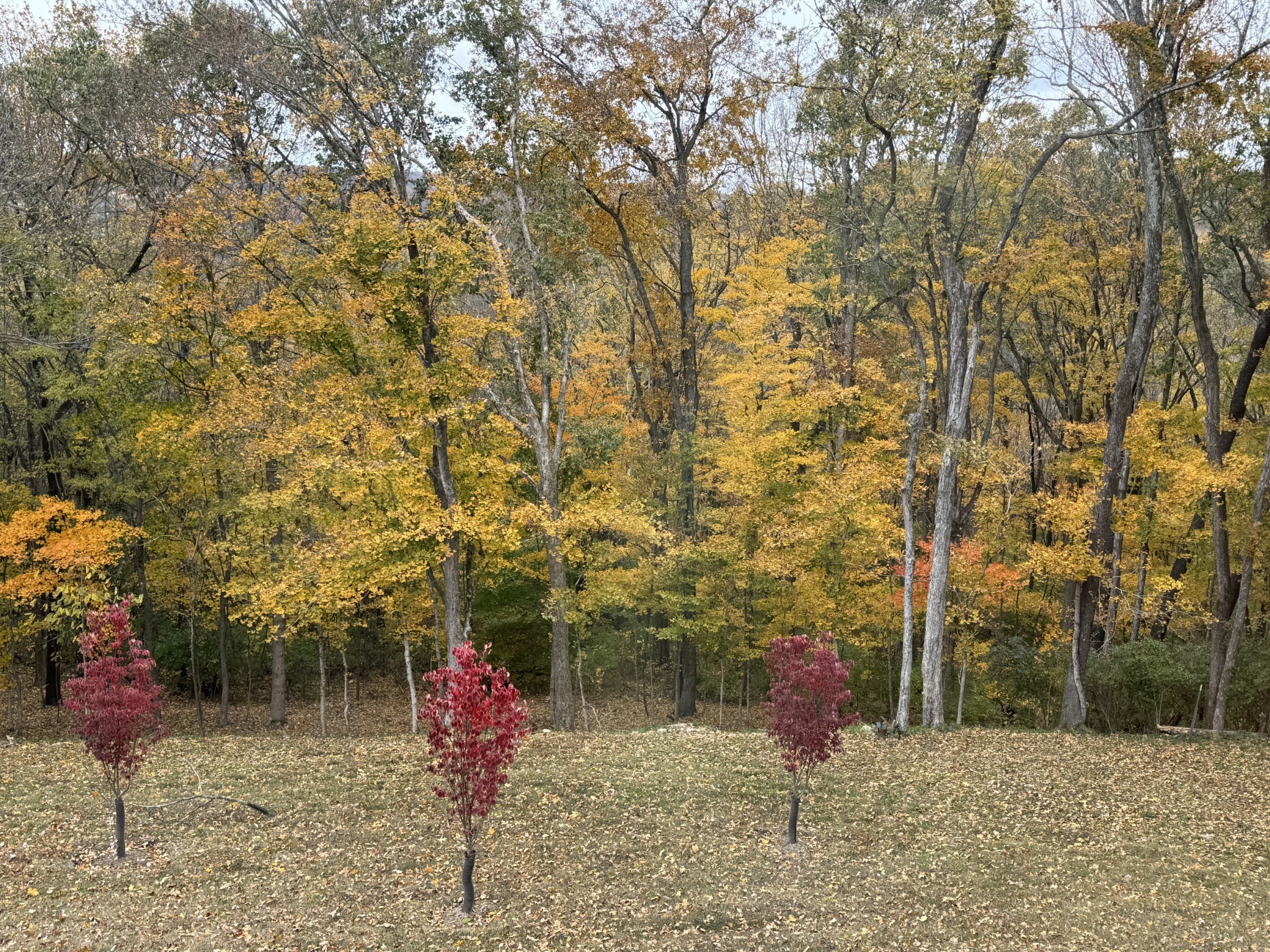 1119 Harpeth Ridge Drive Franklin, TN 37069 - Photo 31 of 35