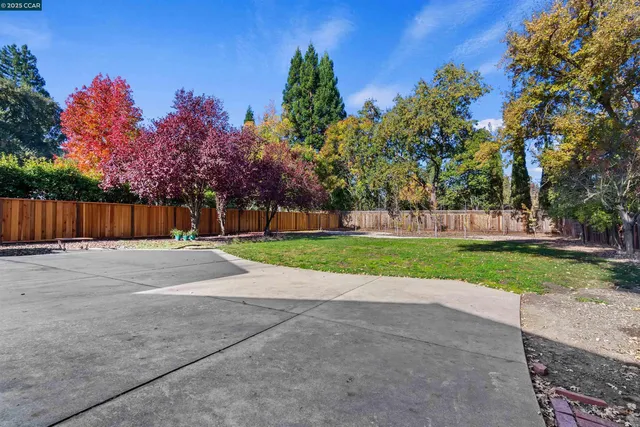 a view of a street with a large trees in the background