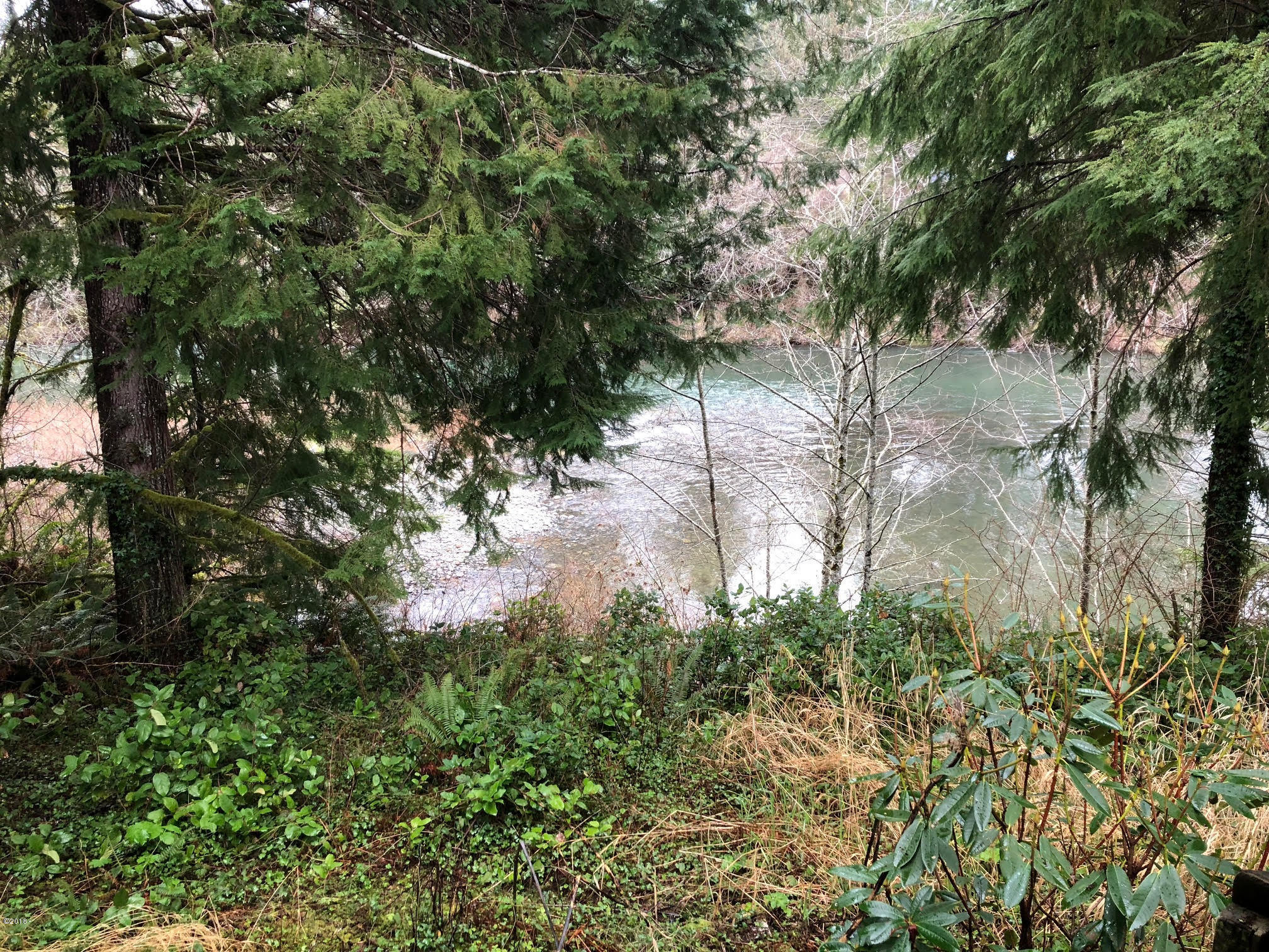 642 Fred Taylor Road Siletz, OR 97380 - Photo 18 of 21 19