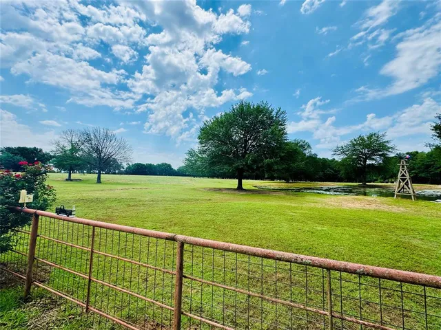 a view of a park with large trees