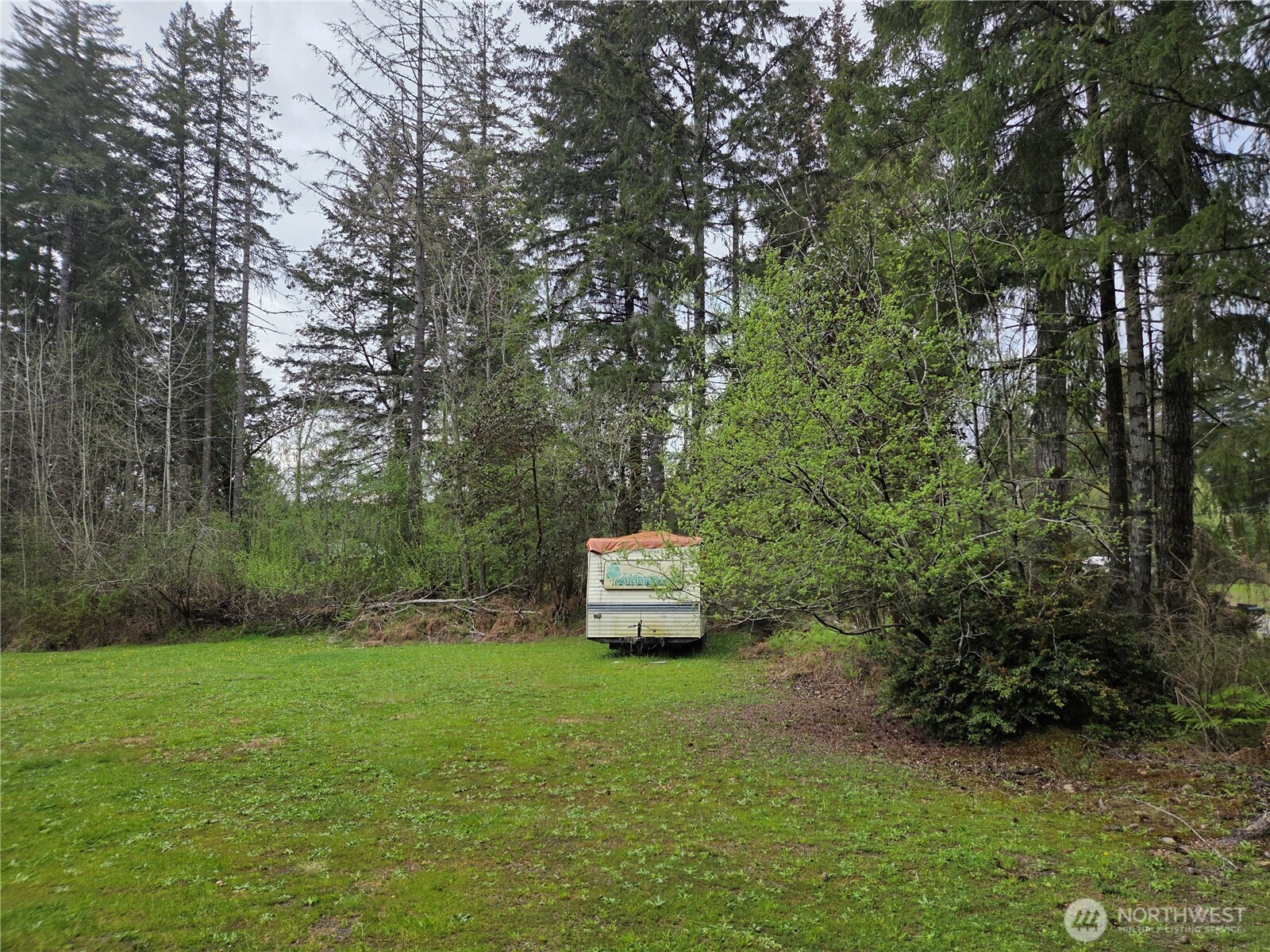 1266 East Pickering Road Shelton, WA 98584 - Photo 4 of 12