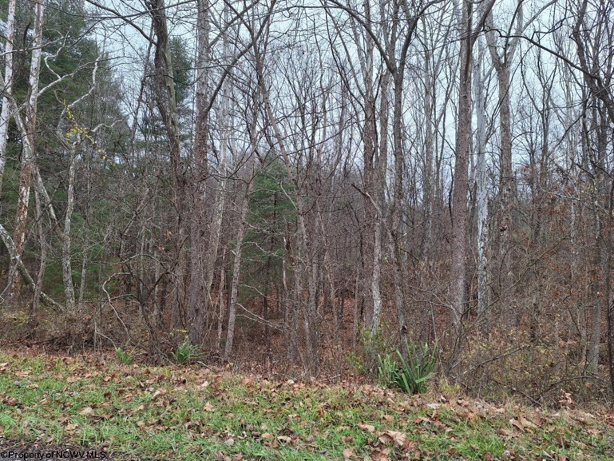 Tbd Jack Run Road Bridgeport, WV 26330 - Photo 9 of 19 Gallery Image 9