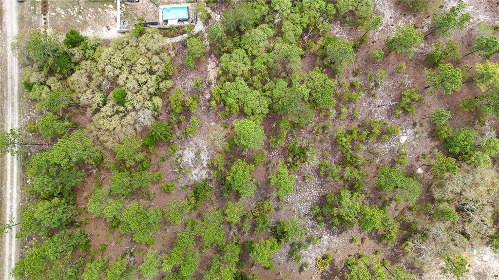 Tbd Southwest 137th Ct Road Dunnellon, FL 34432 - Photo 12 of 19